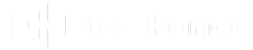 bigchange-white
